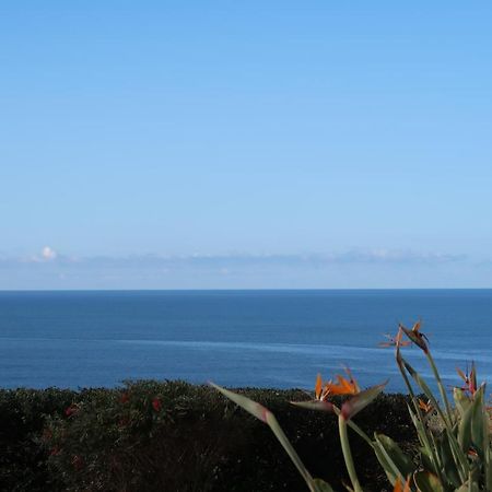 Agua A Vista - Apto Com 2 Quartos E Piscina Ericeira Luaran gambar